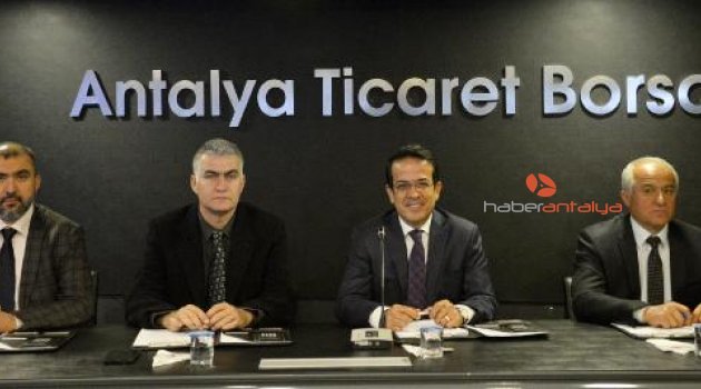 Süs bitkileri 40 milyon TL'lik yatırım için arazi arıyor