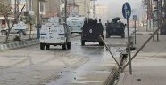 Mardin'de terör operasyonu: 12 gözaltı