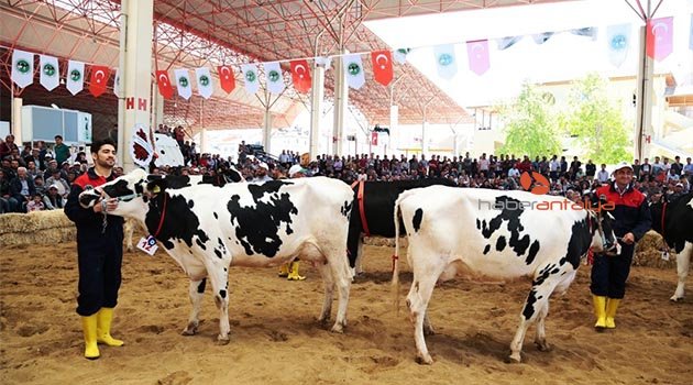 Teke Yöresi 4. Tarım ve Hayvancılık Fuarı’na destek