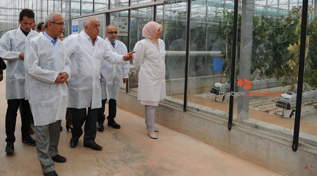 TEKNO KENTTE İNCELEMELERDE BULUNDU