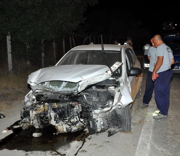 TEL ÖRGÜLERE ÇARPAN OTOMOBİLDE 2 YARALI