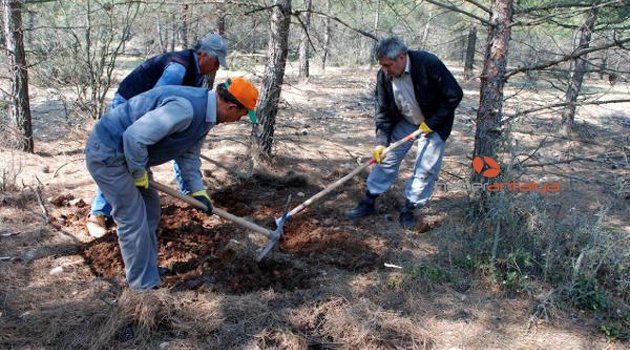 TERMİNATÖR BÖCEKLER İŞ BAŞINDA