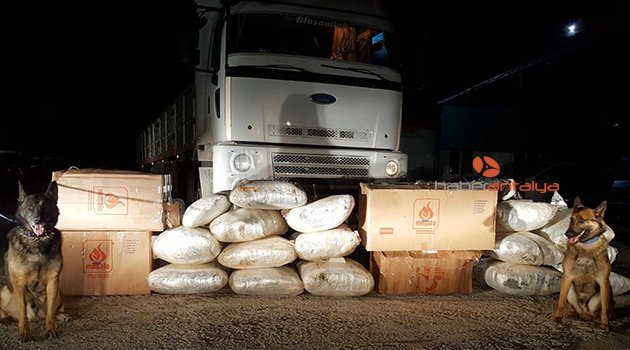 TIR'DA 1 MİLYON LİRALIK UYUŞTURUCU ELE GEÇİRİLDİ