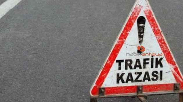 Tomruk yüklü kamyon devrildi