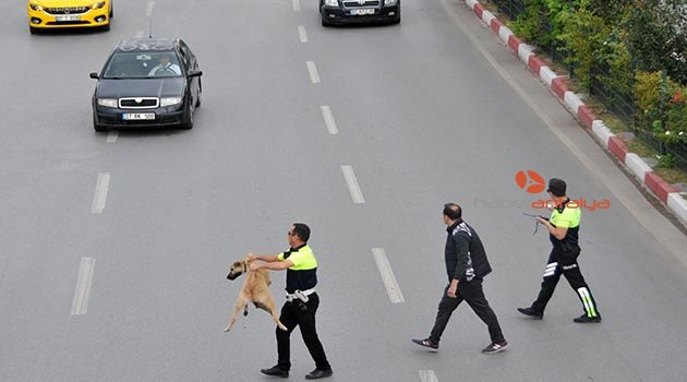 Trafik polisinden örnek davranış