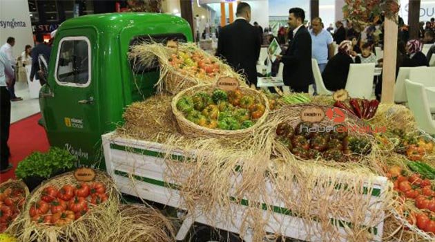 Tüketici köy domatesi lezzetini arayınca 'gülköy' ve 'gülpembe' ortaya çıktı