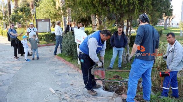 Turistlerin dikkati köpeği kurtardı