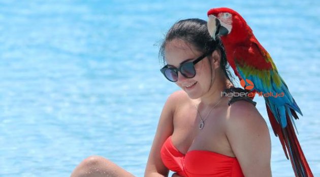 Turistlerin havuz keyfi
