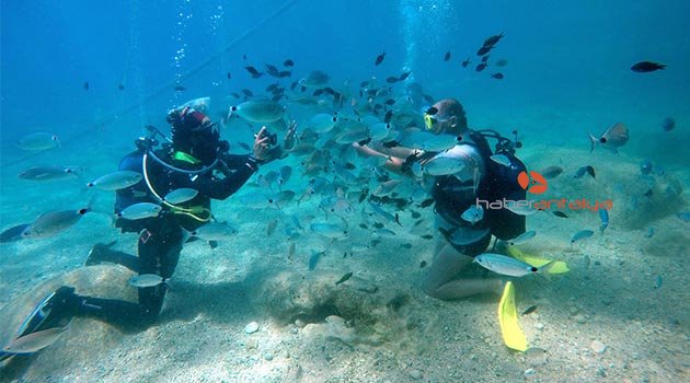 Turistlerin yeni gözdesi su altında balık beslemek