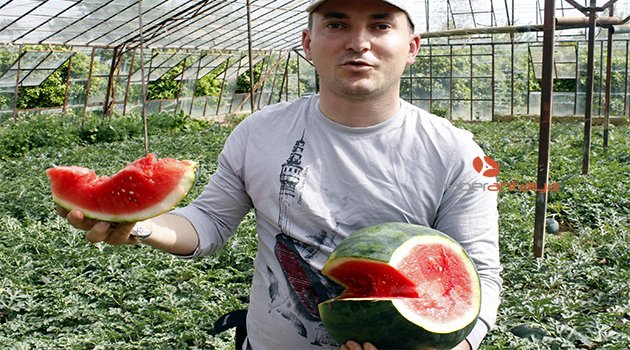 TÜRKİYE’NİN İLK KARPUZ HASADI ANTALYA’DA BAŞLADI