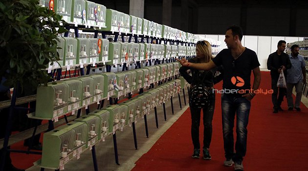  Türkiye'nin en güzel kuşları Antalya'da toplandı