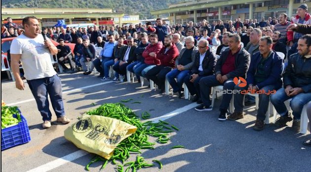 Üretici biber fiyatlarındaki yüzde 50'lik düşüşe çare arıyor