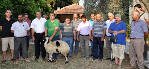 UYGULAMALI KURBAN KESİM DERSİ