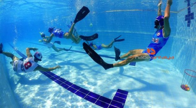 Octopush Sport net