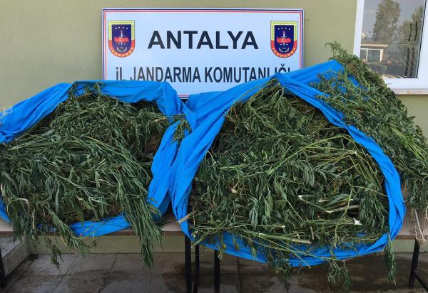 JANDARMA'DAN FOTOKAPANLI OPERASYON
