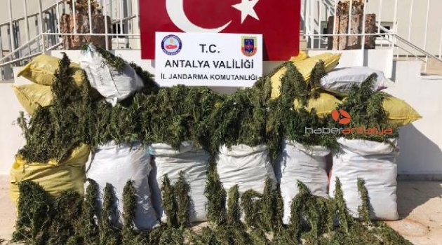Uyuşturucu tacirine 15 yıl hapis