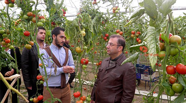 VALİ TÜRKER SERALARI GEZDİ