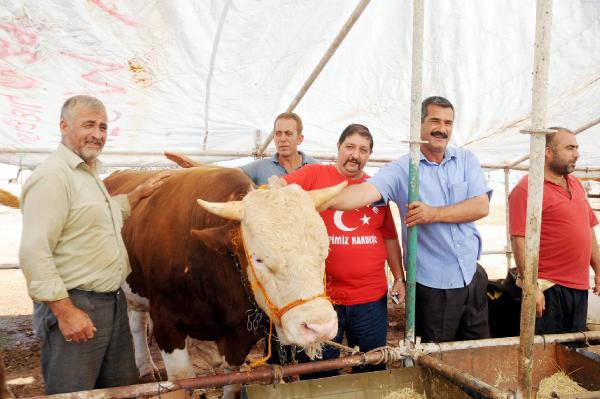 TÜRKİYE'NİN EN UCUZ KURBANI ANTALYA'DA