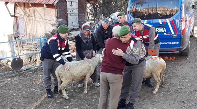Yaşlı adamın hayvanlarına kavuşma mutluluğu