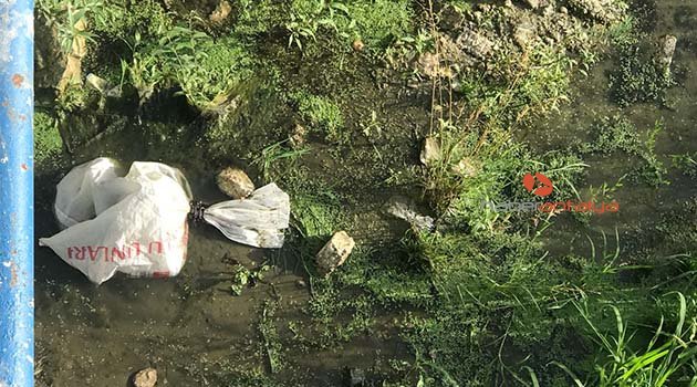 Yavru kediler, ağzı bağlı çuval içinde su kanalında bulundu