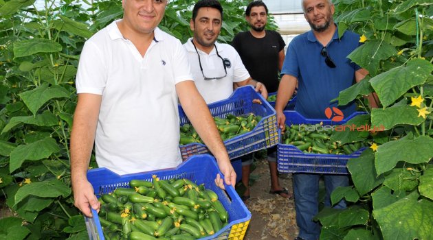 YAZIN SERADA SALATALIK DÖNEMİ BAŞLADI