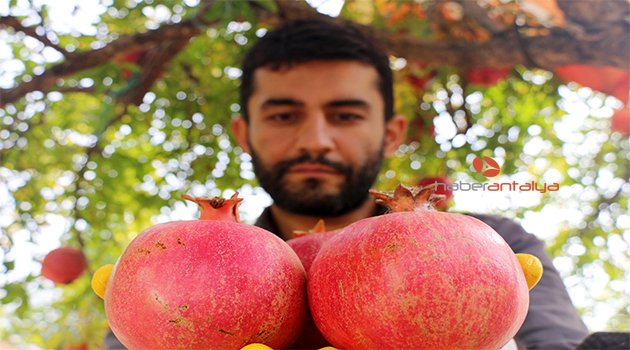 YETİŞTİRDİKLERİ ORGANİK ÜRÜNLERİ İNTERNETTEN SATIYORLAR
