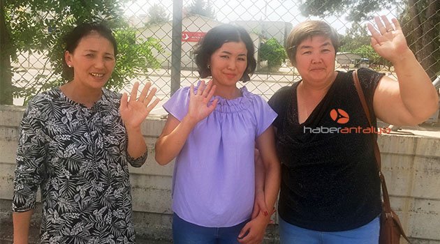 Yol kenarında yaralı bulunan Kırgız Malika, tedavisi sonrası ülkesine döndü