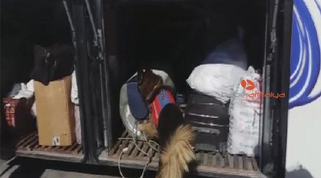 Yolcu otobüsündeki termosifondan 11 kilo esrar çıktı