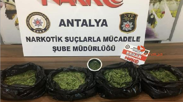Zehir satıcılarına iki tutuklama