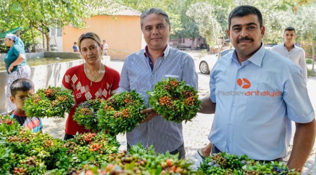 ZEYTİNKÖY'ÜN KADERİ DEĞİŞECEK