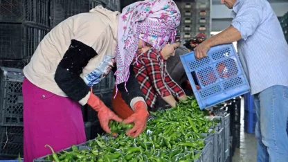 Antalya’da Eylül’de sebze miktarı yüzde 10 arttı