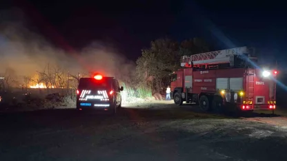 Serik’te yol kenarındaki otluk alanda çıkan yangın korkuttu