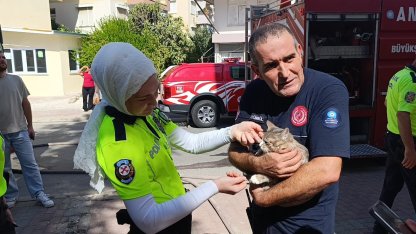 Yangında telef olduğu sanılan kedi dolabın arkasında saklanırken bulundu