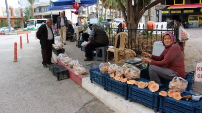Mantar geçim kaynakları oldu