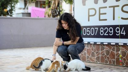 Kedinin bastonla vurularak öldürüldüğü iddiasıyla şikayetçi oldu