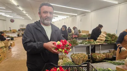 Sirtakide tabak kırmanın yerini alan Türk karanfilinden 3 milyon dolarlık gelir