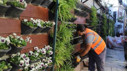 Antalya’da 4 milyon çiçek toprakla buluşuyor