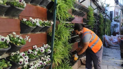 Antalya’da 4 milyon çiçek toprakla buluşuyor