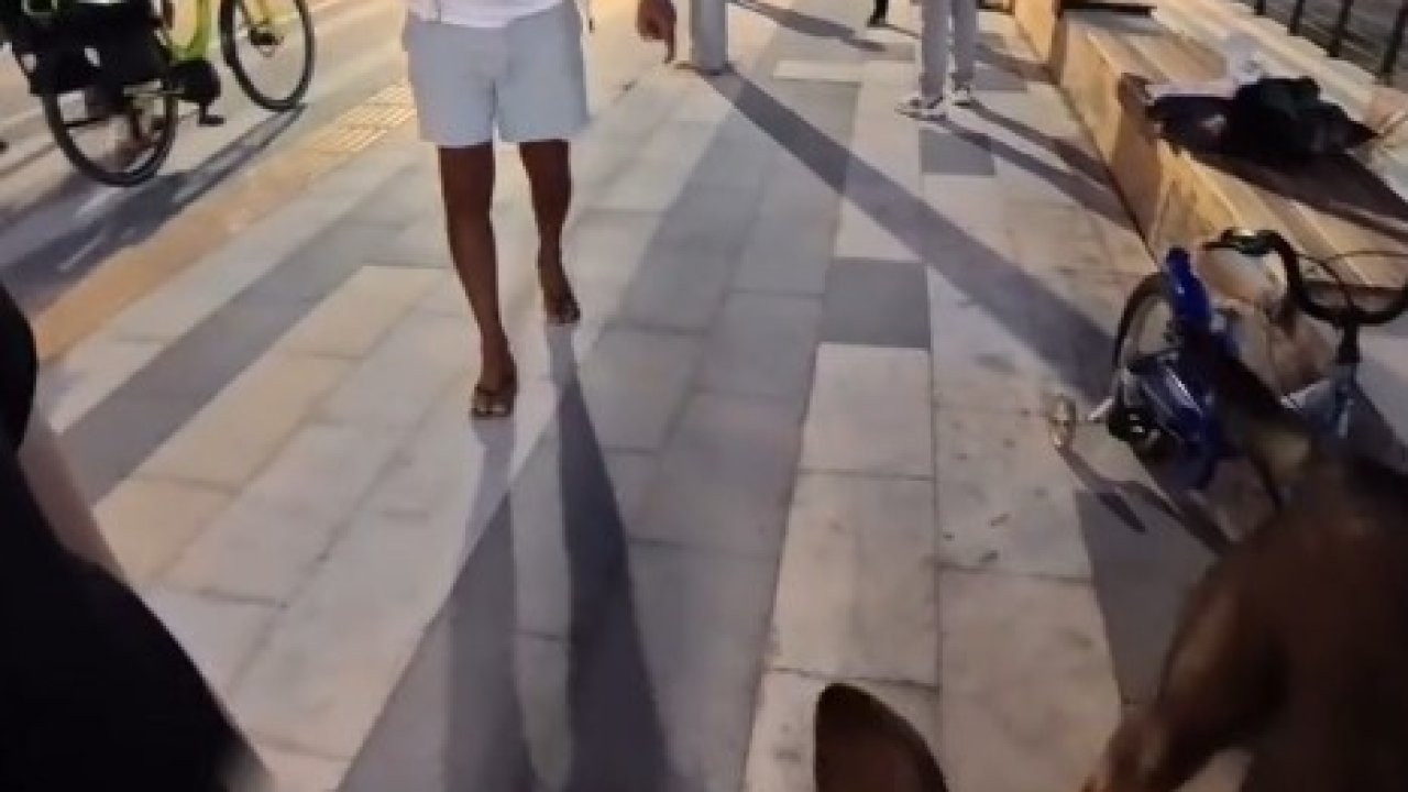 Bankta köpeğiyle oturan yerleşik yabancı kız çocuğu hayatının şokunu yaşadı