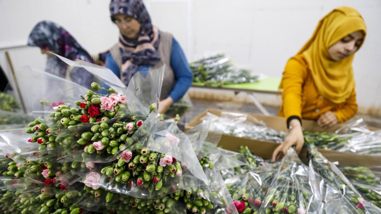 Çiçekte 10 aylık ihracat rekoru