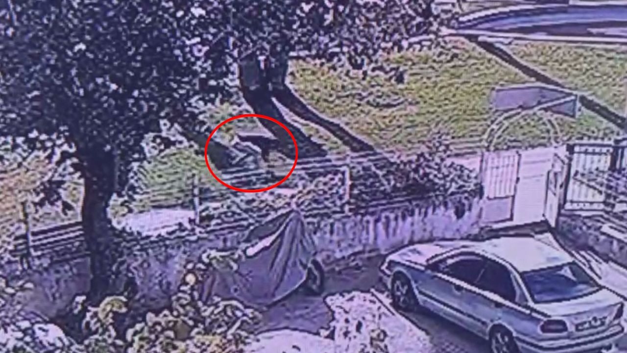 Cinayetin ardından elindeki kanı çimlere silmiş