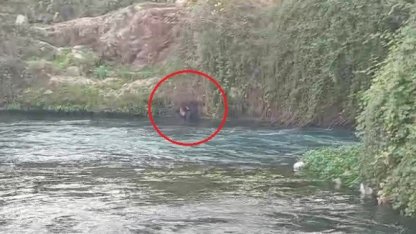 Düden Çayı’na düşen şahsı itfaiye ekipleri kurtardı