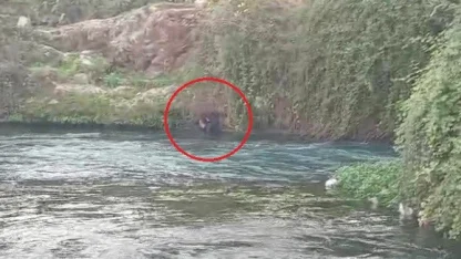 Düden Çayı’na düşen şahsı itfaiye ekipleri kurtardı