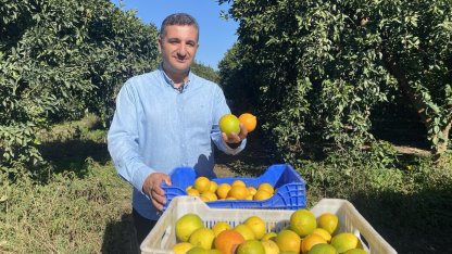 Finike’de portakal sezonu başladı, 250 bin ton rekolte bekleniyor