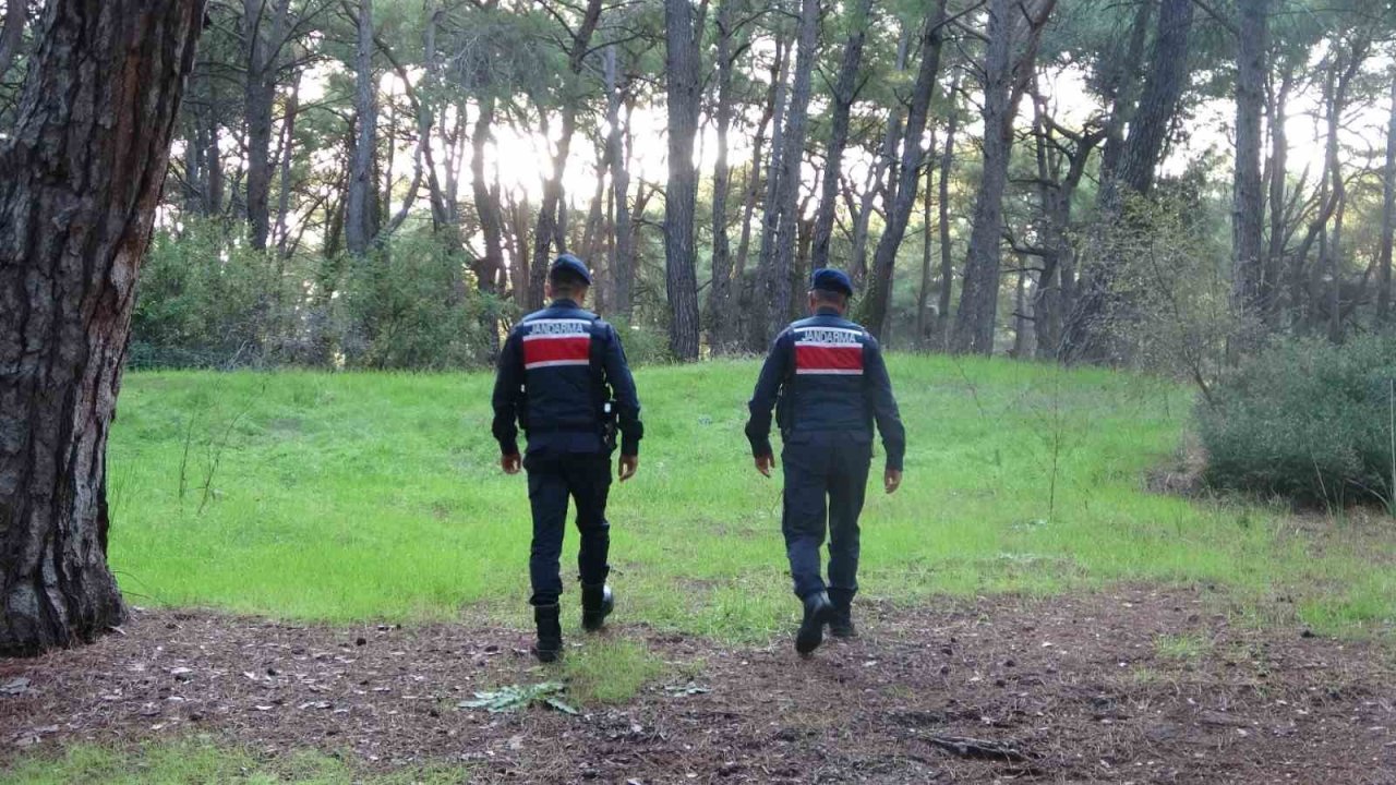 Jandarmadan ormanlık alanlarda kangal ve ateş nöbeti