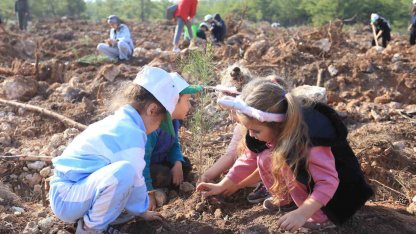 Kepezli Minikler, yangın sonrası orman alanına umut dikti