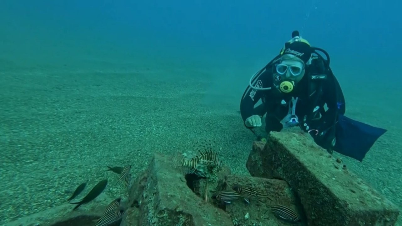 Profesör deniz dibinde taşlardan balıklara yuva yaptı: 12 tür barış içinde yaşıyor