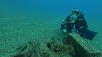 Profesör deniz dibinde taşlardan balıklara yuva yaptı: 12 tür barış içinde yaşıyor