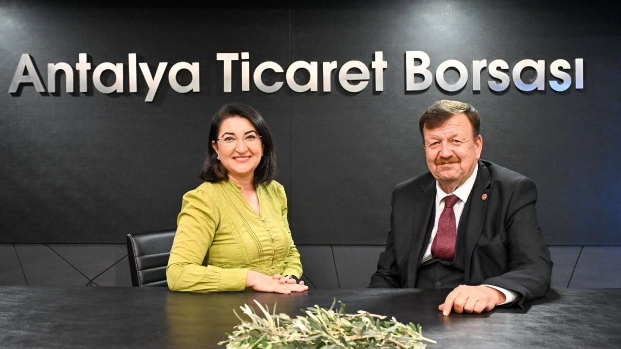 Tan: Zeytin, Antalya&#039;nın öz evladı ama üvey evlat muamelesi görüyor