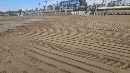 Caretta yuvası kumullar, iş makinesiyle ezildi